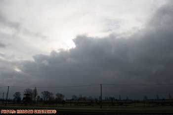 IMG_ (11491)